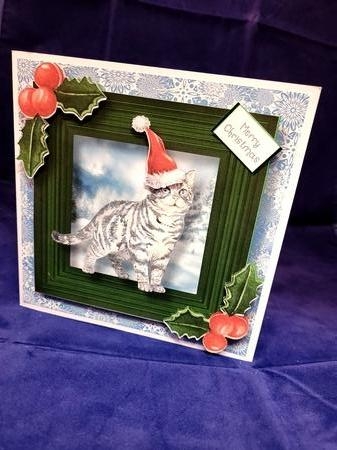 Meowy Christmas Cat - American Shorthair by Yana Pritchard