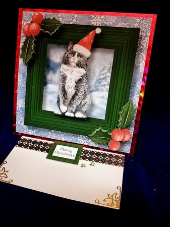 Meowy Christmas Cat - Norwegian Forest 8x8 by Yana Pritchard