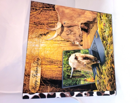 cows by Yana Pritchard