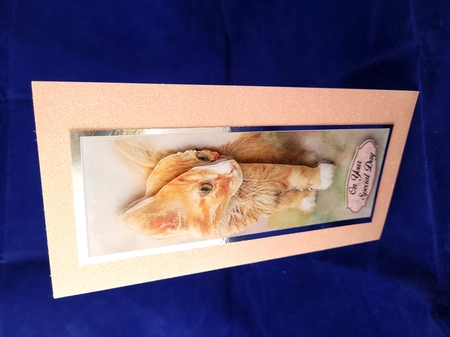 One Sheet Wonders - Water Colour Magic - Ginger Kitten - Easy Cut - 3D Decoupage by Yana Pritchard