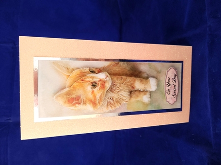 One Sheet Wonders - Water Colour Magic - Ginger Kitten - Easy Cut - 3D Decoupage by Yana Pritchard