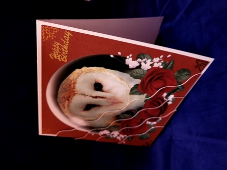 Barn Owl Globe Square Wavy Corner Stacker by Yana Pritchard