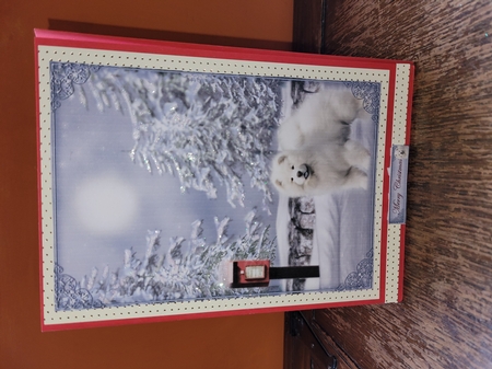White Christmas by Yana Pritchard
