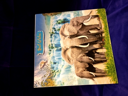 elephants by Yana Pritchard