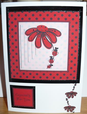 Funky Ladybirds with Flower, Step by Step & Pyramid by Yvonne Benton