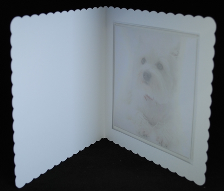 westie snowdrop by Yvonne Middleton