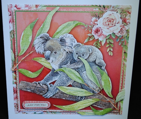 Koala1 by Yvonne Middleton