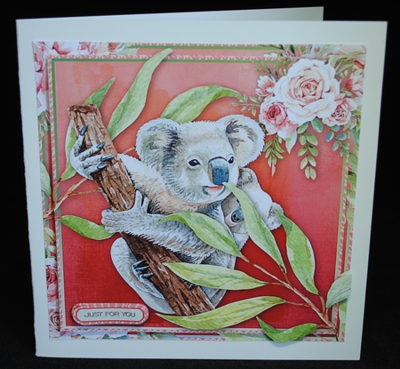Koala3 by Yvonne Middleton