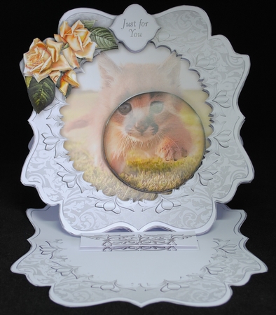 I Spy - Cute Kitten by Yvonne Middleton