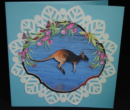 KOALAS & KANGAROOS by Yvonne Middleton