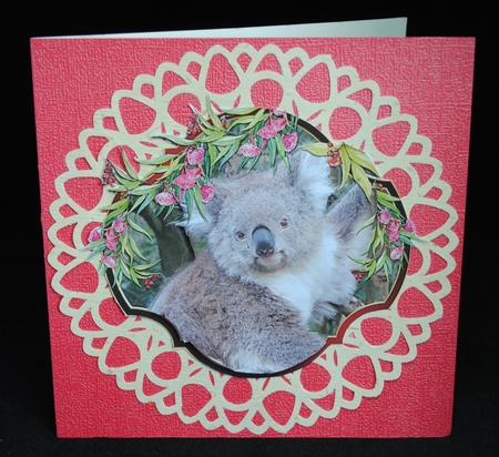 KOALAS & KANGAROOS by Yvonne Middleton