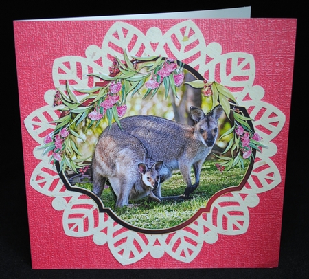 KOALAS & KANGAROOS by Yvonne Middleton