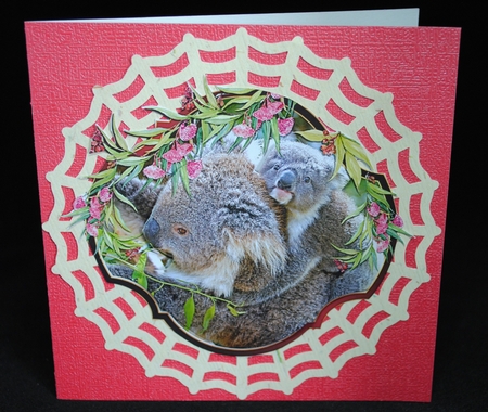 KOALAS & KANGAROOS by Yvonne Middleton