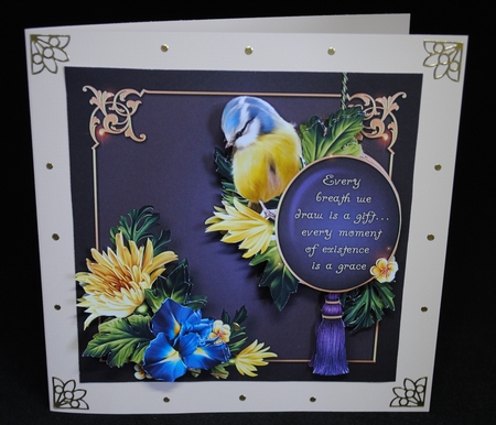 Beautiful Bluetit Bumper Kit by Yvonne Middleton