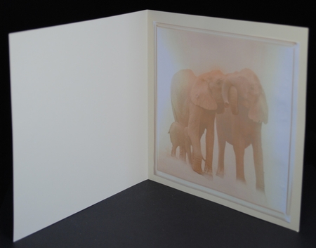 elephants at dawn by Yvonne Middleton