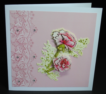 Pioneer Backgrounds 9 by Yvonne Middleton