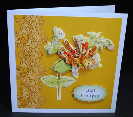 Pioneer Backgrounds 9 by Yvonne Middleton