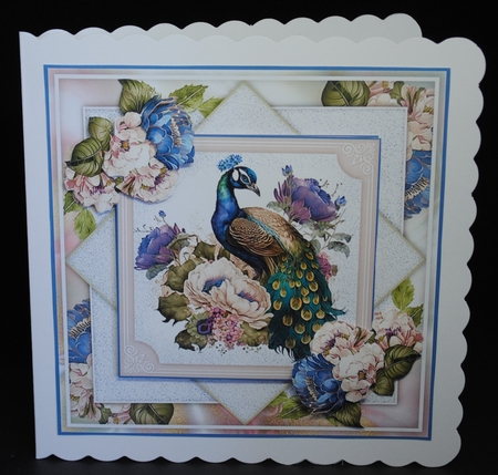 Majestic Peacock Collection by Yvonne Middleton