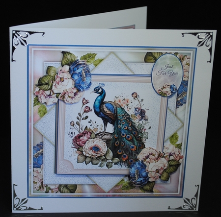Majestic Peacock Collection by Yvonne Middleton