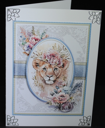 Wild & Cute Baby Animals BUNDLE-2 by Yvonne Middleton