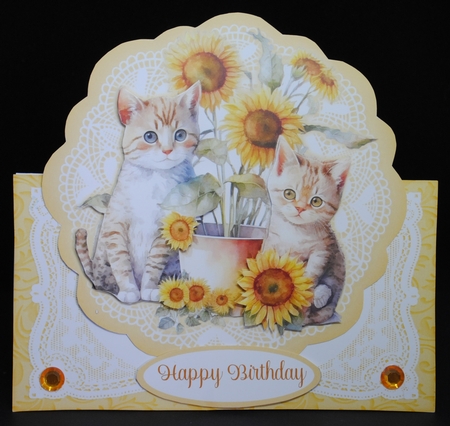 8 x Big Cats Little Cats All Occasions 7 x 7 Shaped Cards Bundle by Yvonne Middleton