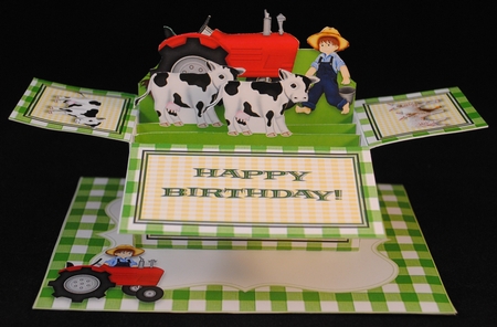 Farm Fun - Pop-up Box Card Kit & Matching Envelope by Yvonne Middleton