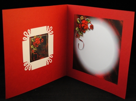 Ravishing Red by Yvonne Middleton