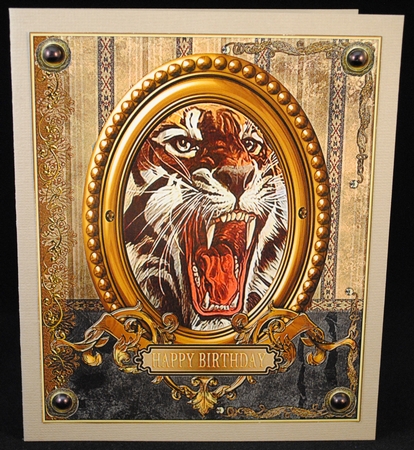 Awesome Tiger by Yvonne Middleton