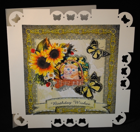 Kitten and Sunflowers - 6 Inch Card Front by Yvonne Middleton