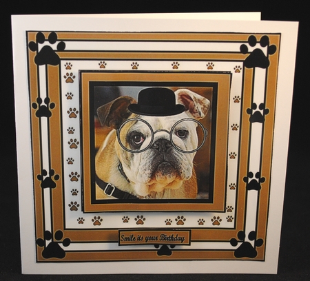 bulldog breed by Yvonne Middleton