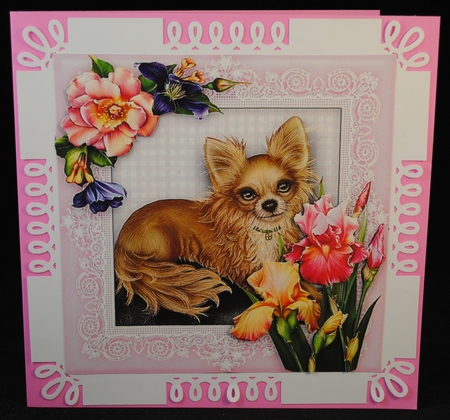 Cute Chihuahua Puppy Dog - 8 x 8 Floral Decoupage Card Topper by Yvonne Middleton