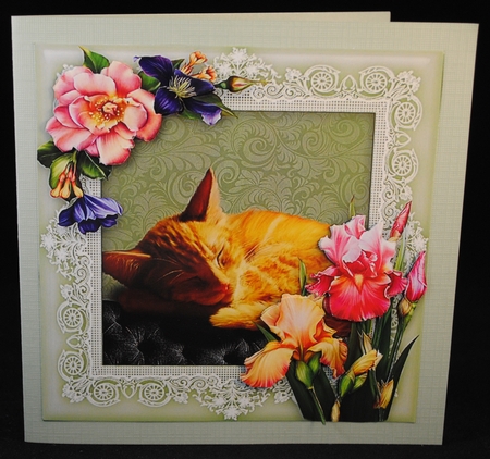 Sleepy Ginger Kitten 8 x 8 Floral Decoupage Card Topper by Yvonne Middleton