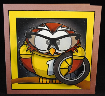 The Cycling Owl by Yvonne Middleton