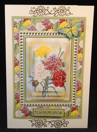 Carnations by Yvonne Middleton