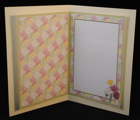 Carnations Insert by Yvonne Middleton