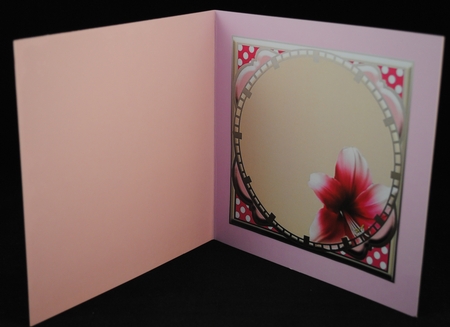 Special Times - Pink Amaryllis & Polka Dots by Yvonne Middleton