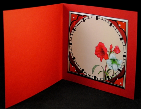 Special Times - Red Amaryllis & Polka Dots by Yvonne Middleton