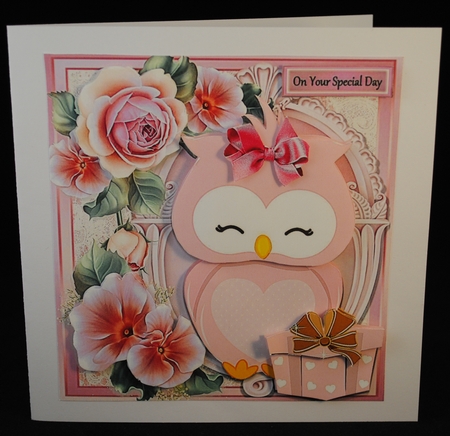 Pretty Pink Owl With Present 8x8 Mini Kit by Yvonne Middleton