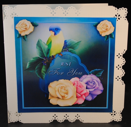Wonderbird Just For You Birthday by Yvonne Middleton