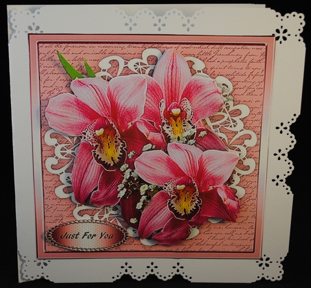 Beautiful Pink Orchids on Cut Out Lace 2 by Yvonne Middleton