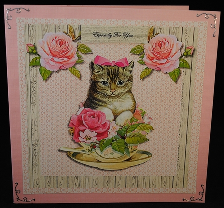 Cute Kitten by Yvonne Middleton