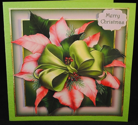 Pink Poinsettia by Yvonne Middleton