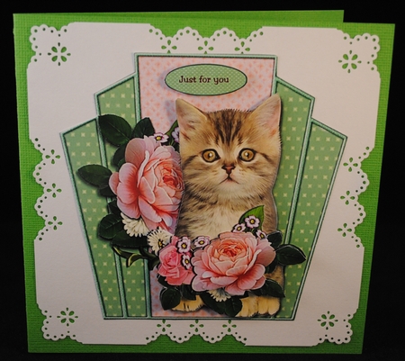 Purrrfect Birthday Cute Kitten &  PinkRoses by Yvonne Middleton