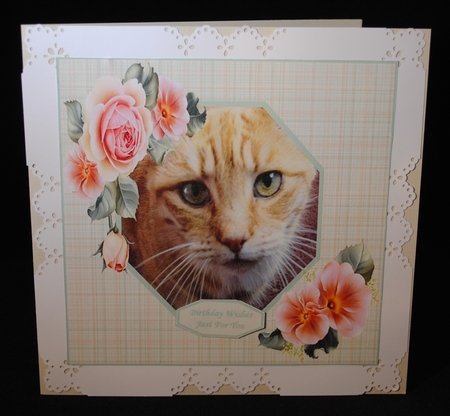 Gorgeous Charlie 8x8 - Lovable Pet Collection by Yvonne Middleton