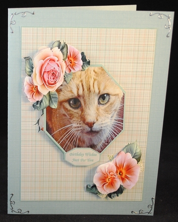 Gorgeous Charlie - Lovable Pet Collection by Yvonne Middleton