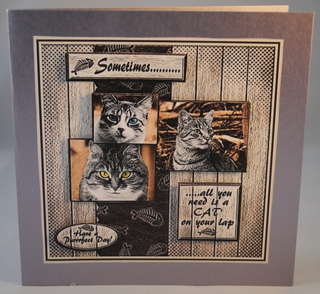 Sometimes.....Cats by Yvonne Middleton
