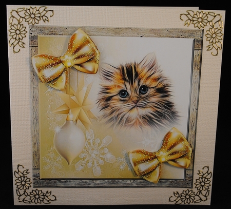 Christmas Cat by Yvonne Middleton
