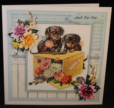 Bbeautiful puppies on a Box of flowers  by Yvonne Middleton