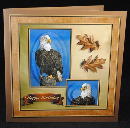 Eagle by Yvonne Middleton