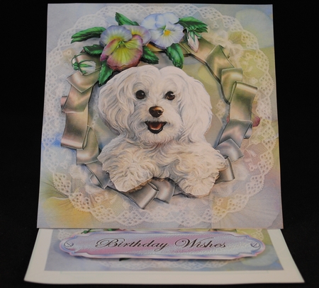 Beautiful White Cotton Dog by Yvonne Middleton